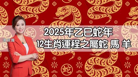 兔年運程|屬兔2025蛇年運程